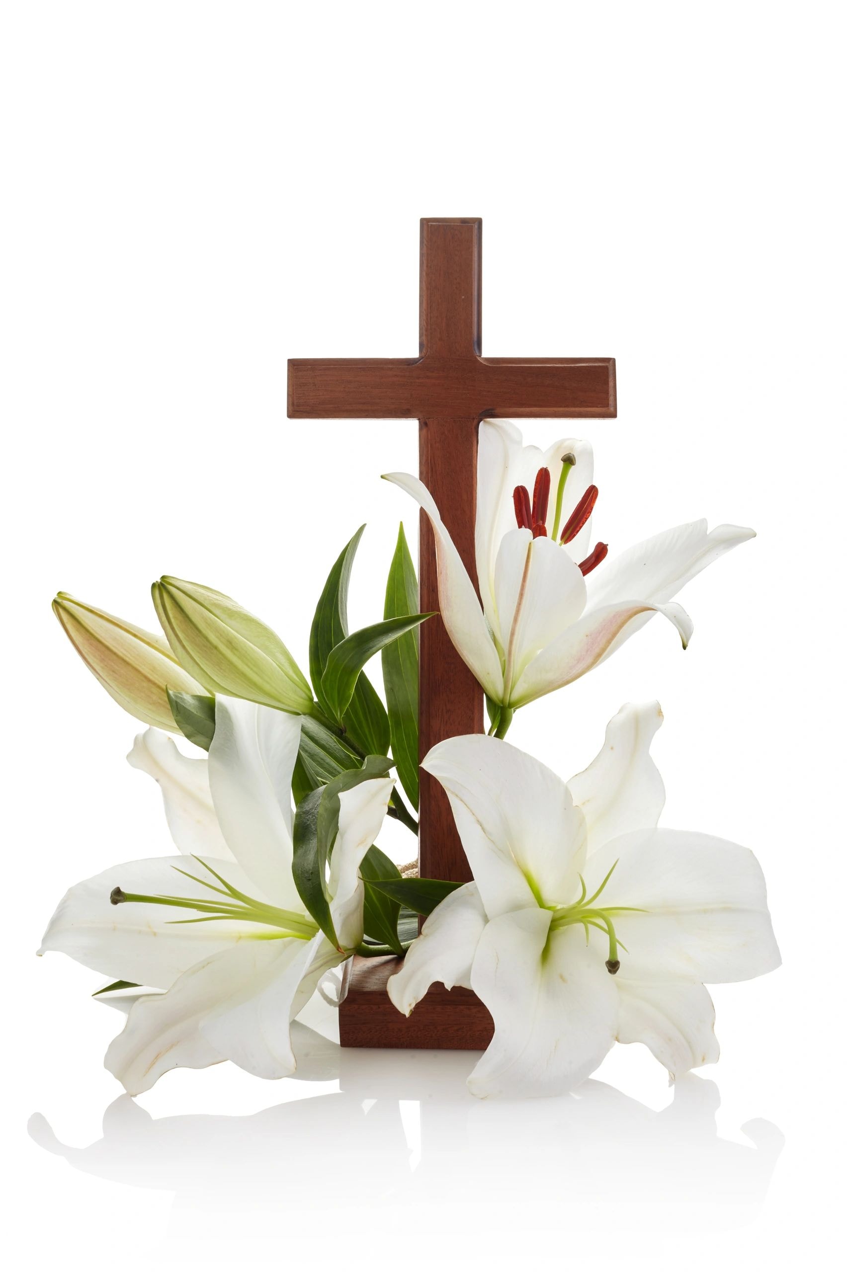Pure Serenity Casket Spray