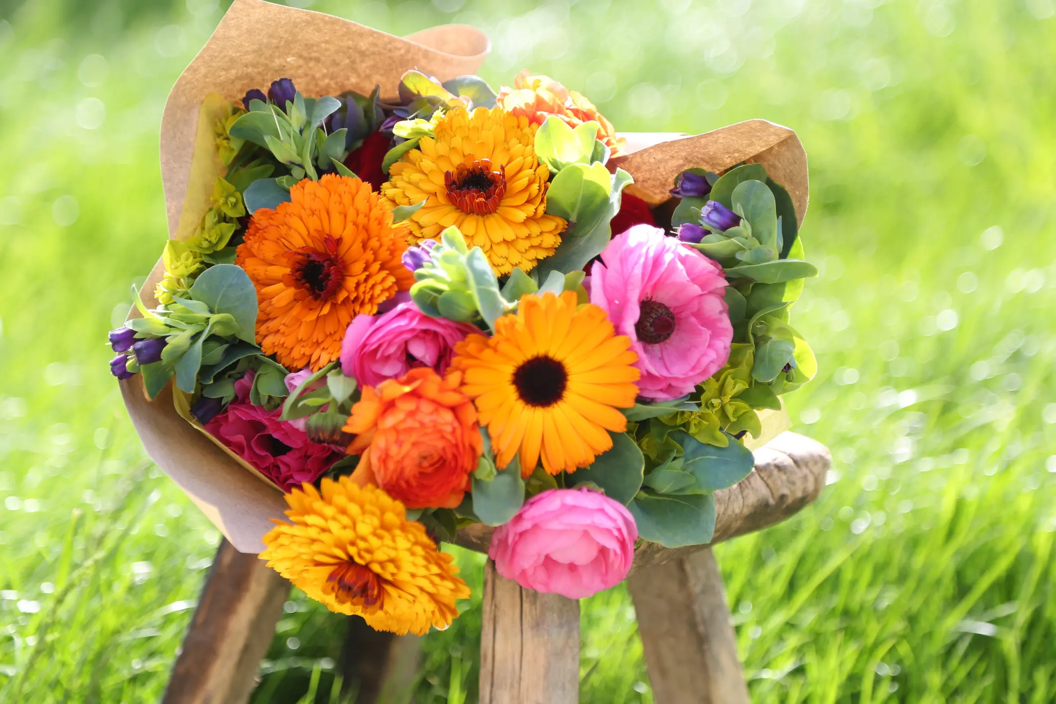 A bouquet of colorful flowers, including orange, yellow, pink, and purple blooms, wrapped in brown paper and placed on a wooden stool outdoors on green grass.