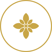 A gold four-pointed star with rounded edges is centered inside a gold circle on a black background.
