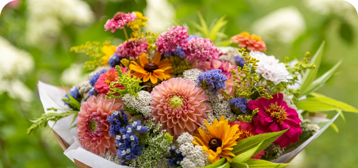 A bouquet of assorted colorful flowers, including dahlias, zinnias, and asters, held outdoors with a blurred green background.